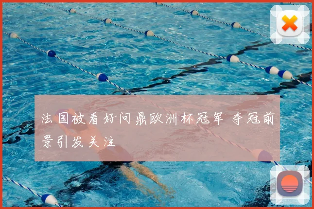 法国被看好问鼎欧洲杯冠军 夺冠前景引发关注