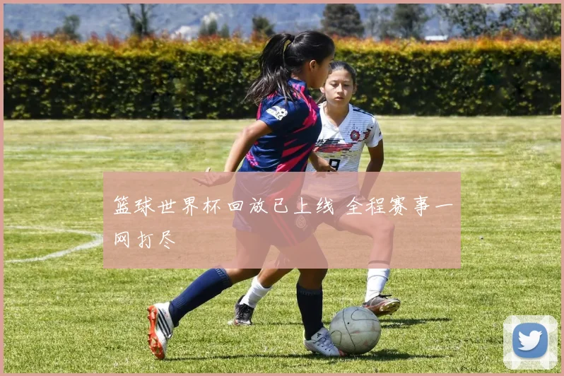 篮球世界杯回放已上线 全程赛事一网打尽