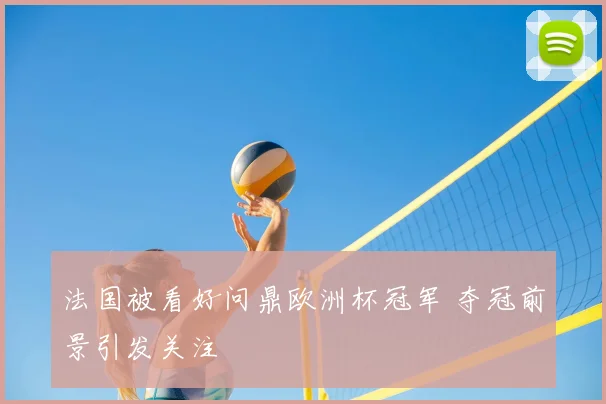 法国被看好问鼎欧洲杯冠军 夺冠前景引发关注